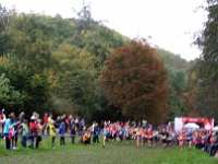 2014.10.12 - 37. Harzgebirgslauf - 10